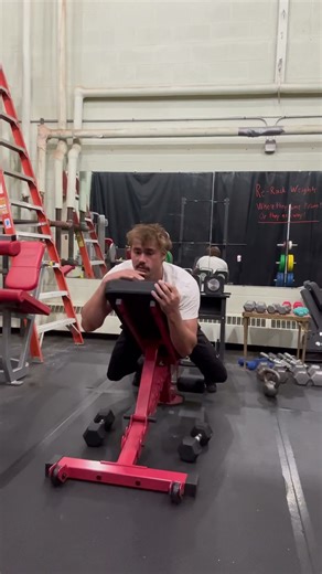 Chest supported single arm row