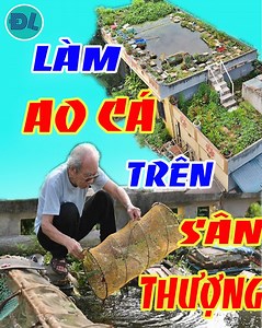 1.1M views · 10K reactions | Lão Nông Chịu Chơi Biến Sân Thượng thành Ao Đầy Cá - Rau xanh quanh năm | Độc Lạ Việt Nam | Facebook