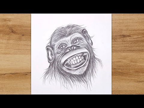 how to draw a chimpanzee face easy step by step