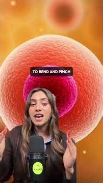 Scientists Just Proved Abiogenesis?