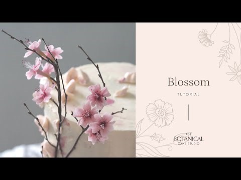 Blossom Sugar Flower Tutorial (Gumpaste / Flower Paste)