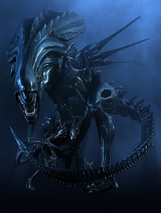 Antarctica Queen (Alien vs Predator) - Alien vs. Predator Galaxy