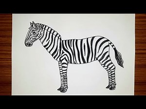 Zebra drawing step by step full tutorial video | Zebra drawing easy | Wild animal Zebra drawing |