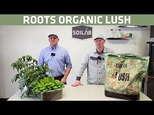 Roots Organic Lush Soil Testing | Know Before You Grow