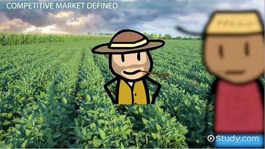 Competitive Market | Definition, Characteristics & Examples