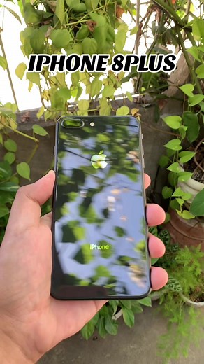iPhone 8 Plus Camera: Quality Review and Shoot Out