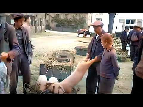 Rural Germany in 1937 | Restored & Colorized Footage with Added Ambient Sound