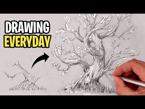 How To Draw a TREE | Sketch Tutorial