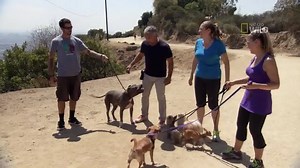 373K views · 9.4K reactions | My biggest challenge training humans is...