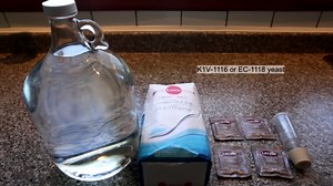 How to make Alcohol at Home (Ethanol)