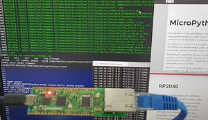 Raspberry Pi Pico(RP2040) MicroPython Network Example