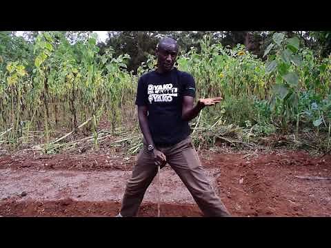 Seedbed: Nursery Preparation