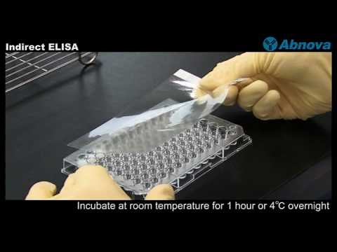 Indirect ELISA