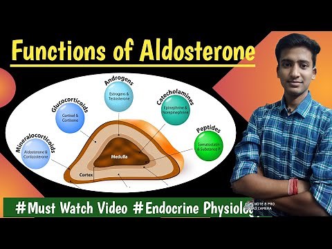Aldosterone|| Mineralocorticoids || Endocrine Physiology ||Lectures||MBBS|| Ashish