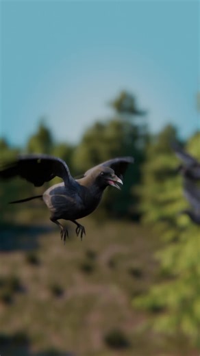 How Ravens And Wolves Hunt Together 😮 | ravens and wolves