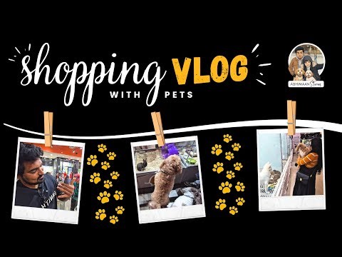 Shopping Vlog with Pets🐶 | A Fun Day Out with Oozie & Wallie at Petland & PetSmart! Family Vlog