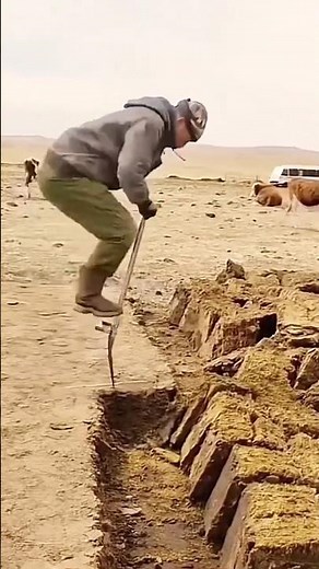 The process of cutting off a layer of cow manure