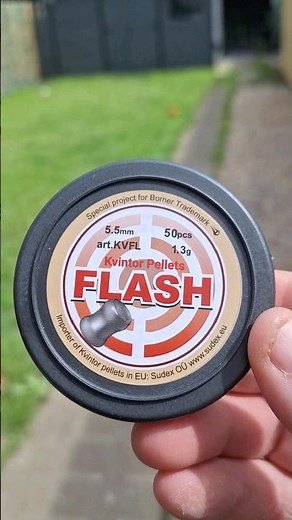 Exploding Airgun Pellets (POWERFUL)