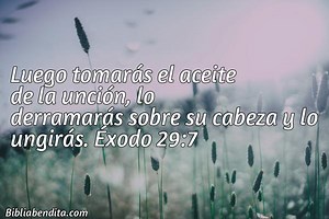 Explicación Éxodo 29:7. 'Luego tomarás el aceite de la unción, lo derramarás sobre su cabeza y lo ungirás.' - BibliaBendita