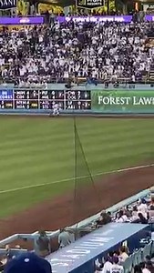 232K views · 3.6K reactions | A trash can was thrown on the field in the 1st inning of today's Houston Astros vs Los Angeles Dodgers game. | MLB on FOX | Facebook