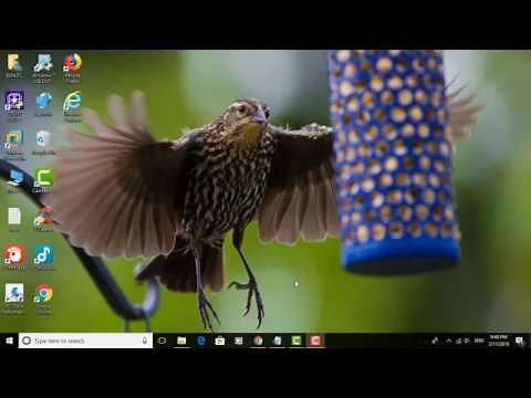 How to Use the Read Aloud Feature in Microsoft Edge on Windows 10