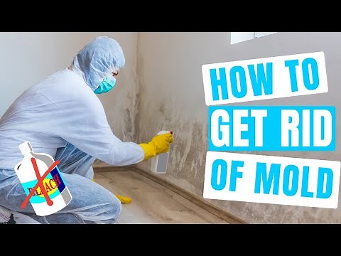 How to GET RID OF MOLD careful with bleach!