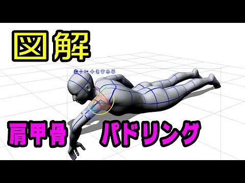 ケリースレーターに学ぶ「王道のパドリング」