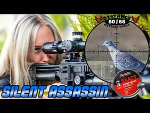 Silent Assassin | Airgun Pest Control