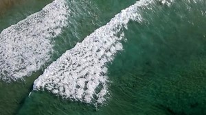 12K views · 445 reactions | A young girl by the name of Carla...