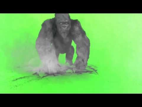 Green Screen 40+ essential effects