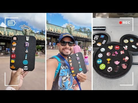Disney Pin Match Game At Animal Kingdom - October 2025