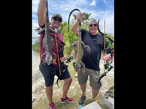 Hunting Invasive Iguanas in Florida