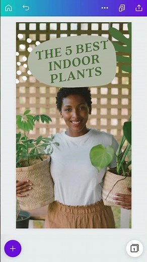 How to make custom content | Photo Editing on the Canva App