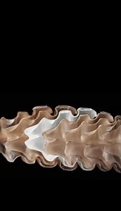 4.1K views · 39 reactions | As rattlesnakes grow, they gain a rattle...