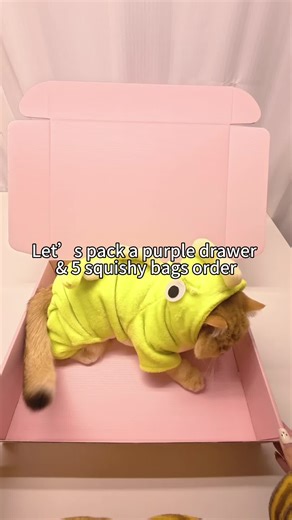 Eros's Part 2 Order Video: ASMR Mystery Box