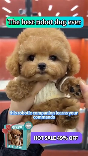  Want a puppy without the work? NICOO the Robot Puppy walks, wags, and loves attention— No walks or clean-ups needed! Cute, interactive, and totally hassle-free. Get Yours NOW  https://betterlife-mf.com/products/�-nicoo-my-realistic-robot-puppy | BetterLife | Facebook