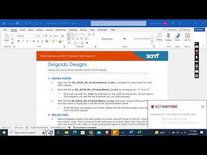 Shelly Cashman Excel 2019 | Module 8: SAM Project 1b | Delgado Designs
