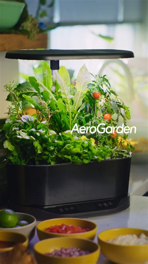 Big smiles, little effort. Grow delicious greens together, year-round with AeroGarden. | AeroGarden