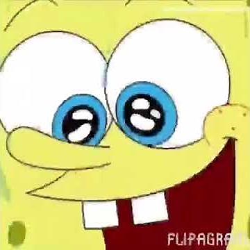 The Fitness Gram Pacer Test