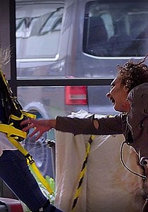 Project Z - watch tv series streaming online