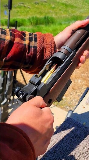 Springfield M1A Rifle