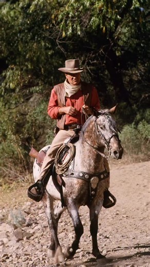 John Wayne Halloween Costume Inspo! Don’t worry Pilgrim we got you covered 🤠🎃 Which one is your favorite? Let us know in the comments! Tag us in your John Wayne inspired costume for a chance to be featured. #JohnWayne #HalloweenCostume #WesternCostume #CowboyCostume #Westerns | JOHN WAYNE