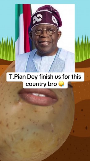 Unity in Diversity: Celebrating Nigeria's Spirit 🇳🇬