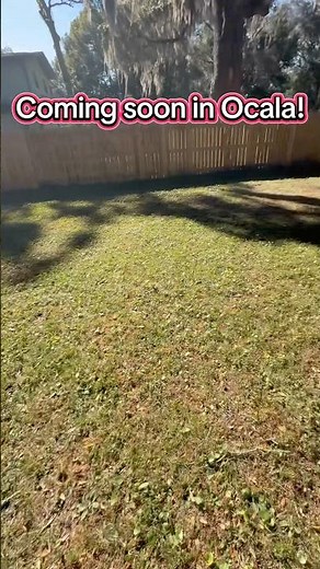 Luxury poultry living in the heart of Ocala! 🐓 #ocala #shorts #realestate #farming #funny #bwak