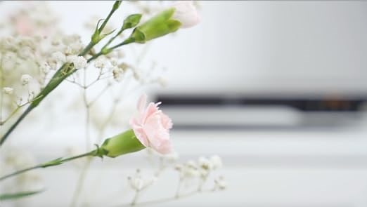 The perfect gift. Maite DVD player Model BA