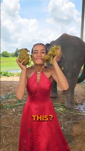 Catching Elephant Poo!😱