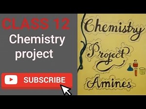 class 12 Amine project file. With Pdf in description.
