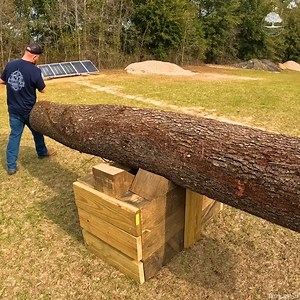 1.6M views · 1.9K reactions | Building a Heavy Duty LOG Sawhorse | The Kelley's country life | Facebook