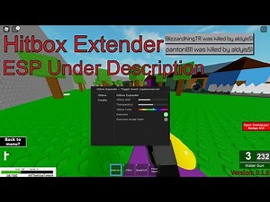 Randomizer Hitbox Expander Script