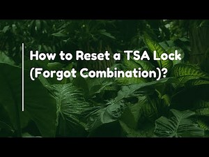 How to Reset a TSA Lock (Forgot Combination)?
